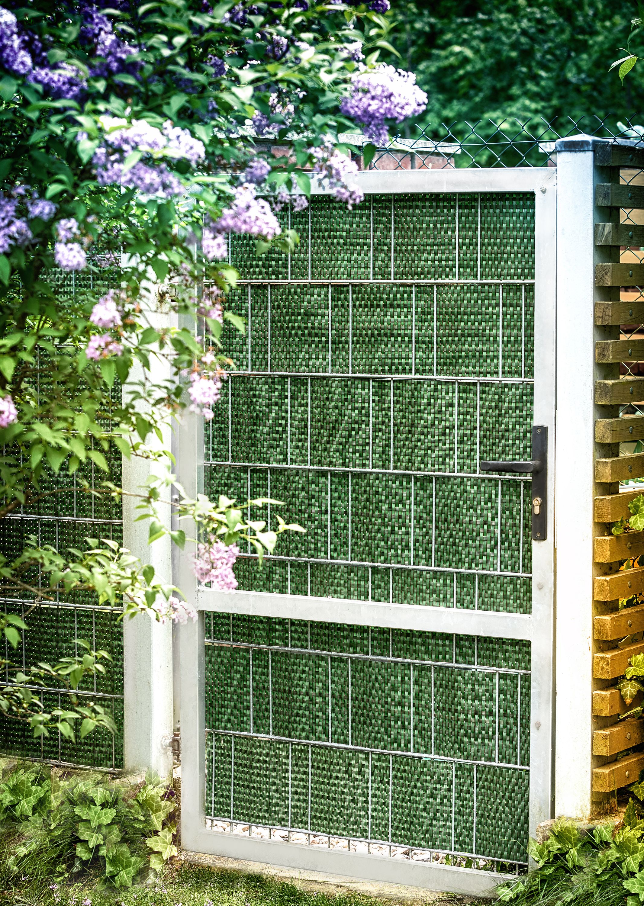 Rattan Sichtschutzstreifen GRÜN 255 cm