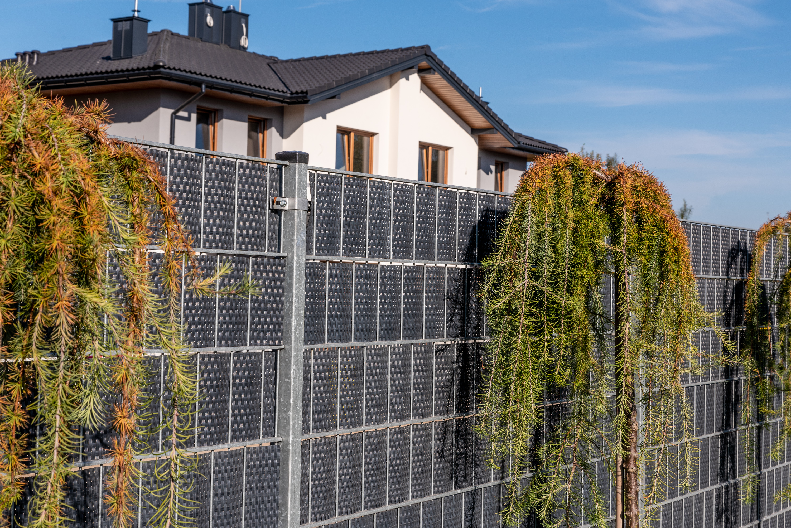 Rattan Sichtschutzstreifen ANTHRAZIT 255 cm